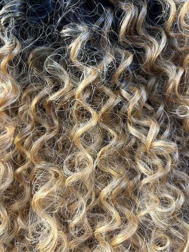 SENSATIONNEL Curly Empress Lace Front Blonde Brown Wig 2-tone - Picture 11 of 19