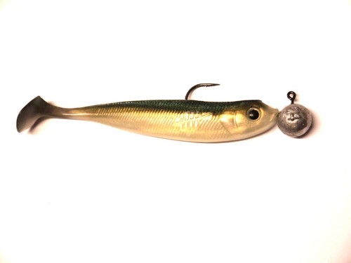 Lieblingsköder 10cm Avec Bkk-Jig En 10g,12g &14g Monté Sandre Perche Softbait - Photo 34/55