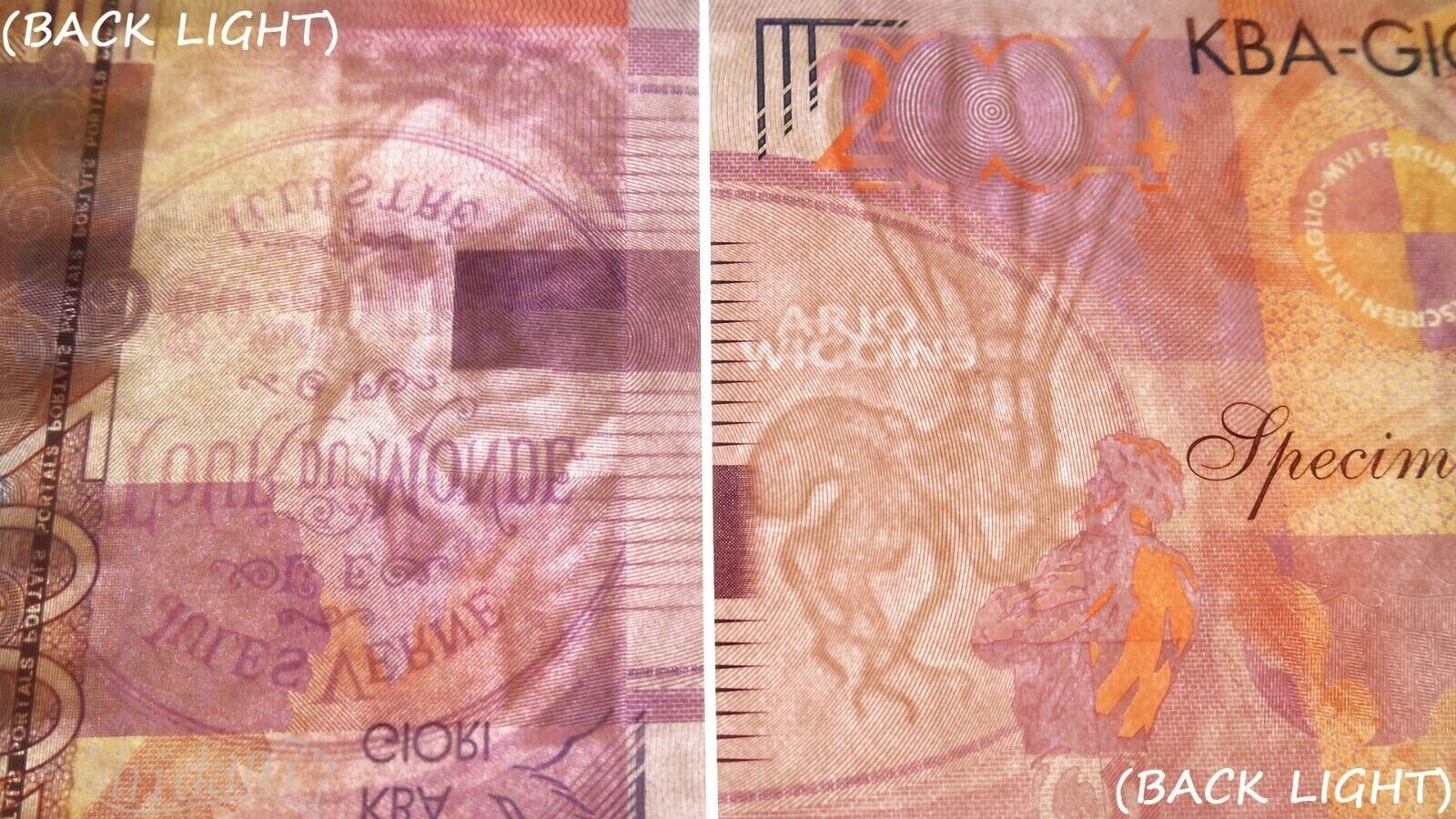 Picture 6 of 21