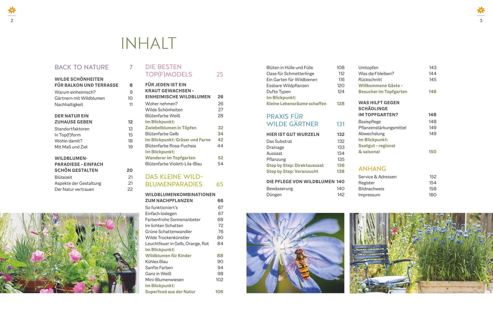 Thumbnail - Wildblumen Für Balkon Und Terrasse Nina Keller