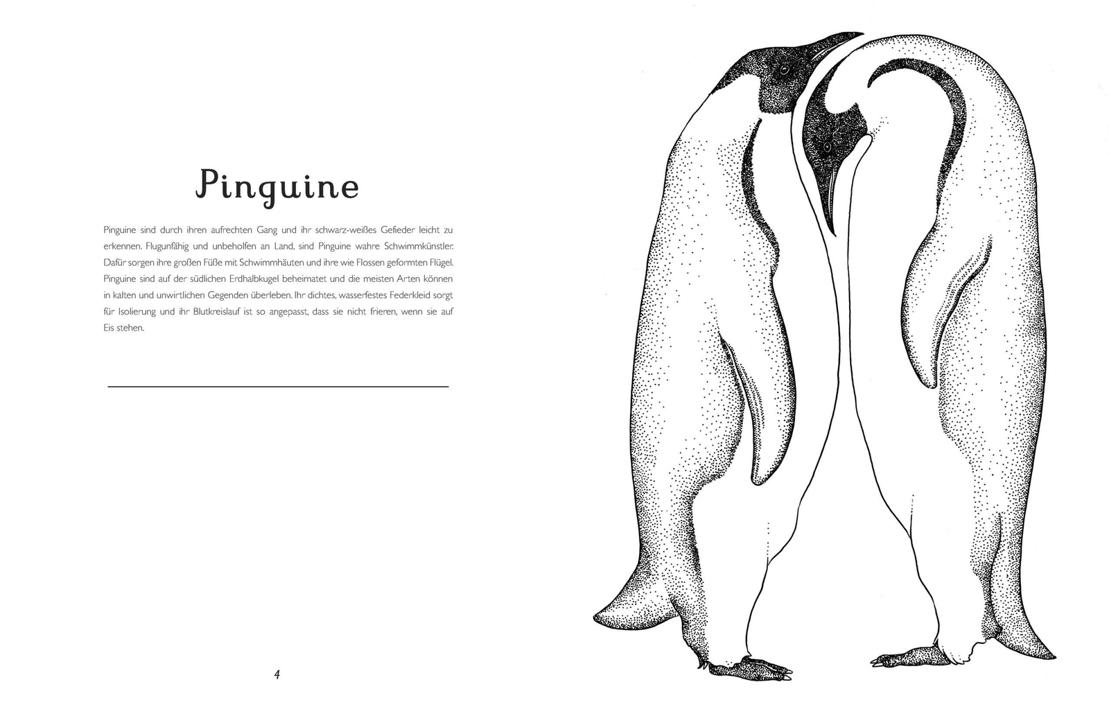 Thumbnail - Das Museum Der Tiere. Mein Malbuch Katie Scott