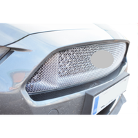 Ford Mustang GT - Oberer Grill, Silbern (2015 - 2018)