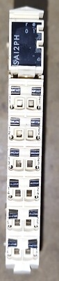       SCHNEIDER SAI2PH - TM5SAI2PH + SOCKEL - 2 ANALOG INPUT PT100 PT1000