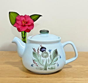 Buchan Pottery | eBay