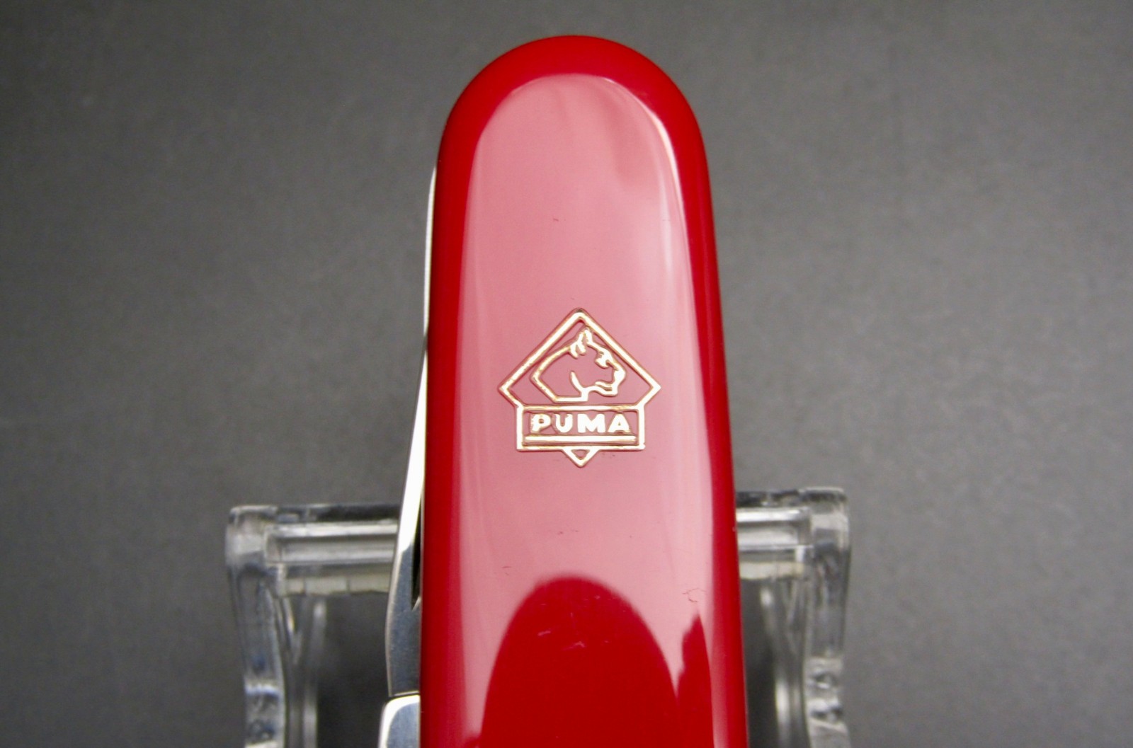 Foto 12 di 24
