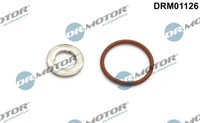 Dichtungssatz EinspritzdÜSe Drmotor Automotive DRM01126 FÜR MAN Ssangyong VW