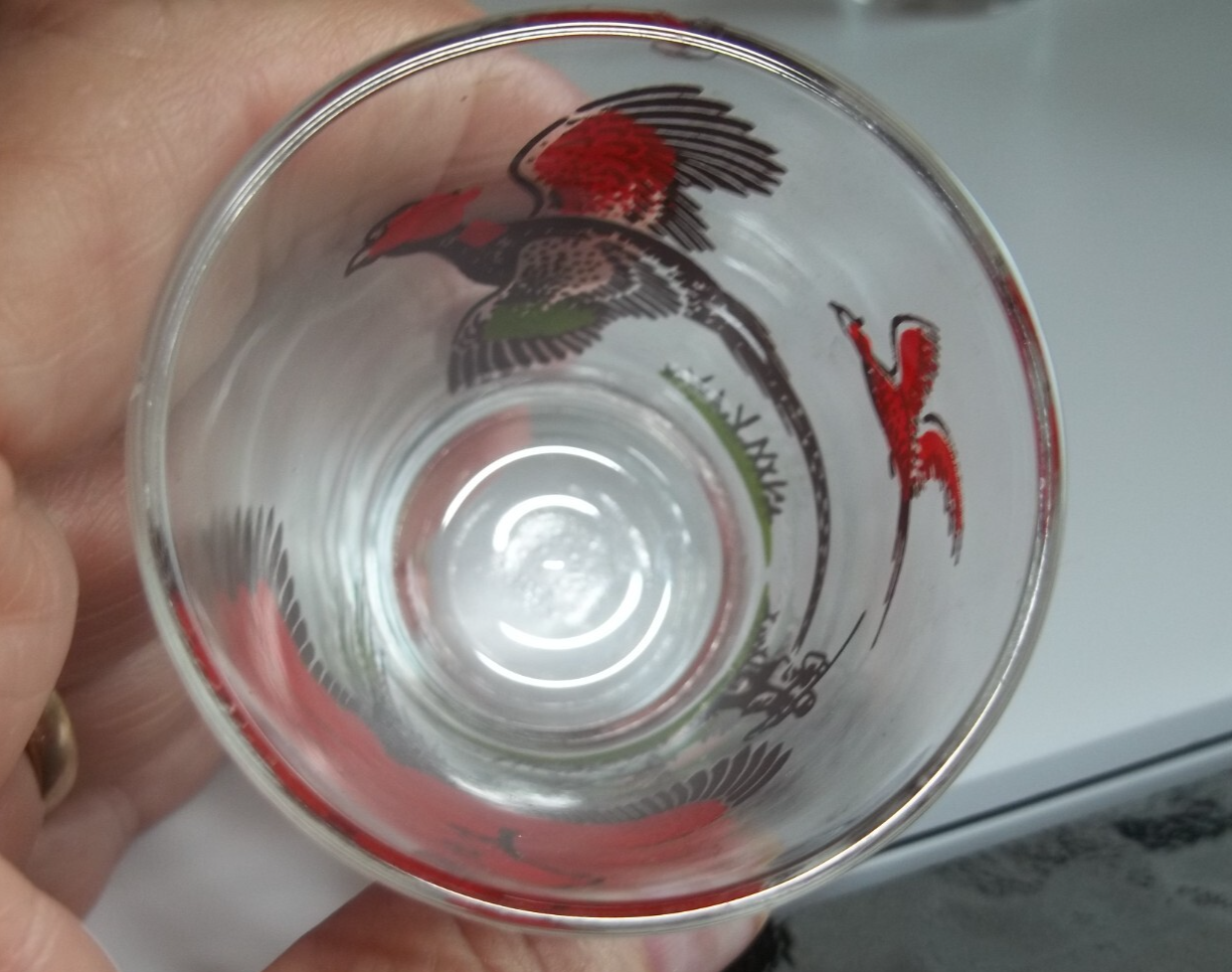 Picture 3 of 12