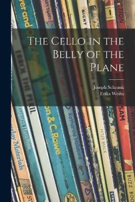 Das Cello im Bauch des Flugzeugs von Joseph Schrank [Taschenbuch]