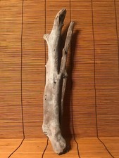 Beautiful 16" DRIFTWOOD Piece Terrarium Taxidermy Aquarium Art Reptile DECOR