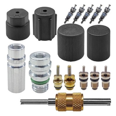 UHANBUT 17PCS Car Air Conditioning Valve Core Kit, 1.07 × 0.62 inch, Black 