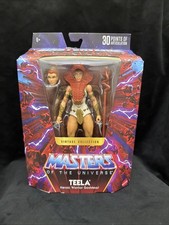 MOTU 2026 Masters of The Universe Masterverse Vintage Collection TEELA W  Case