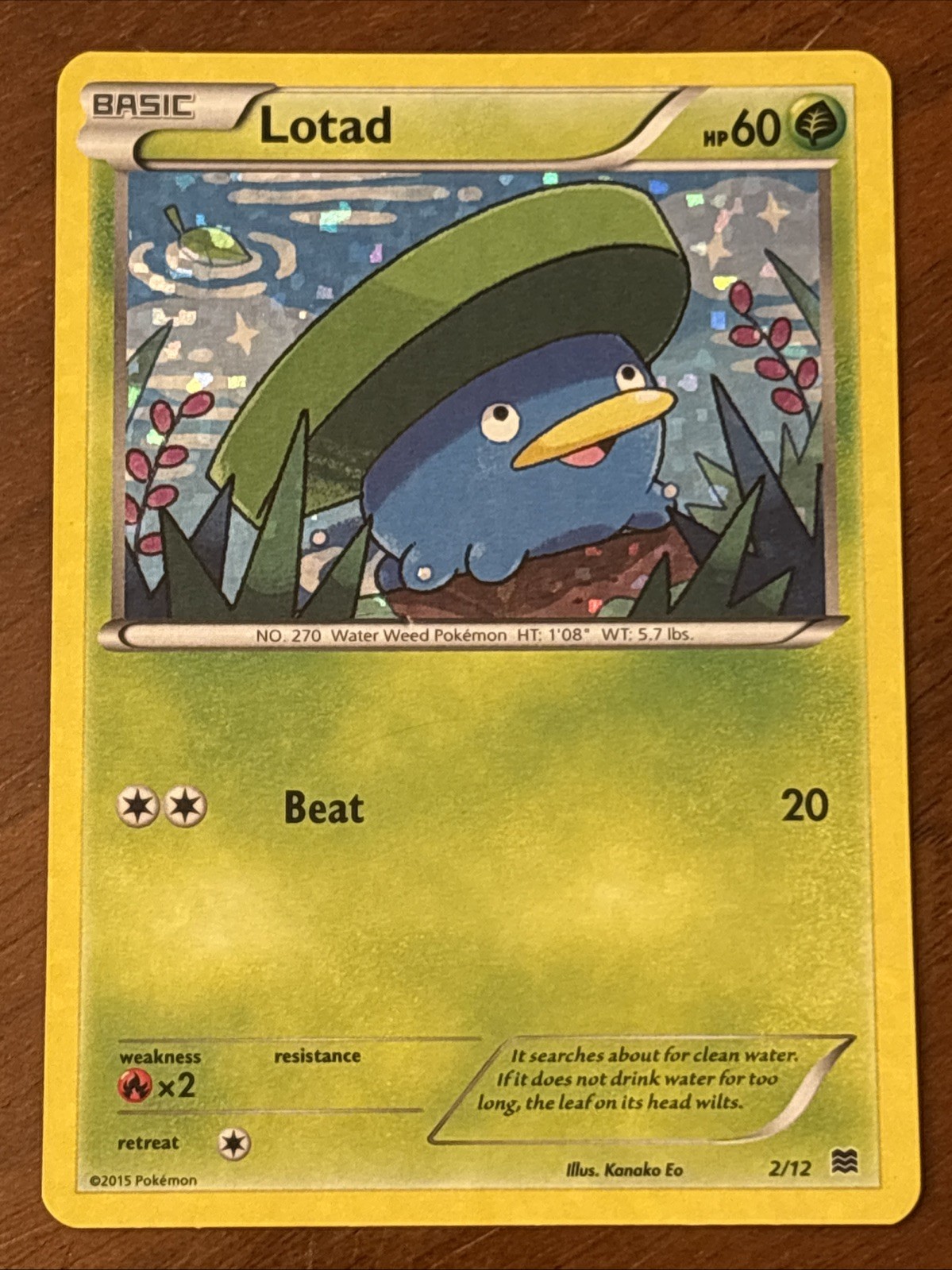 Lotad 2/12 McDonald's 2015 Confetti Holo MP+