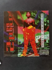 2Pac Tupac Shakur Strictly 4 My Niggaz 1993 Promo Album Flat Poster 12x12