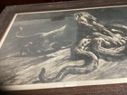 Picture 5 of 14