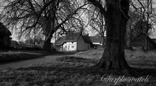 Old B/W Photo Negative East Grafton Village Scene 1949 + Copyright M135