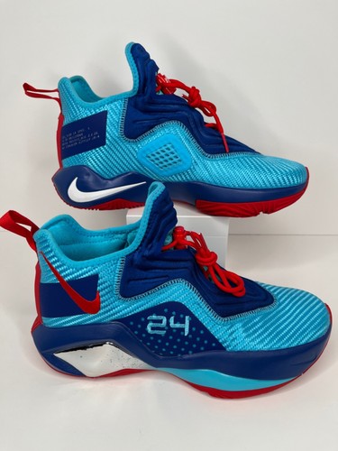 lebron 14 custom