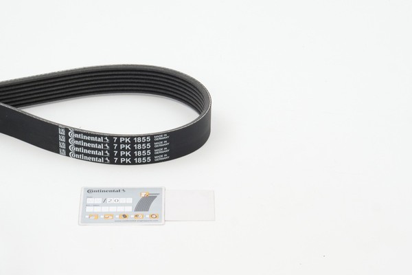 Continental Ctam 7Pk1855 V-Rippenriemen FüR Bmw, Land Rover-image