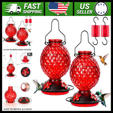 Glass Hummingbird Feeder 2 Pack 25 Oz With Bee Guards Ant Moat