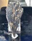 AESTHETIC SMALL CABINET  BLACK KYANITE FAN MINAS NOVAS, MINAS GERAIS, BRAZIL — photo 3