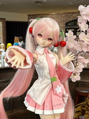 NEW Volks Dollfie Dream DD Sakura Miku 2.0 Doll Hatsune Miku AUTHENTIC JAPAN