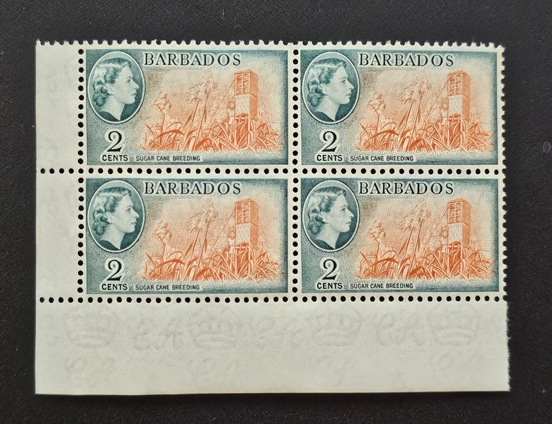 Barbados 1953 QEII 2c Sugar Cane Breeding Agriculture Sc 236. SG 290 BLK MINT NH