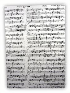 Mozart introduction picture