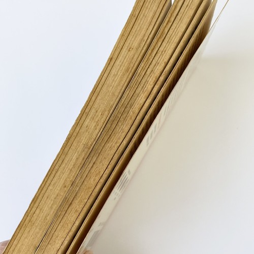 Star Pirates - Secuestro en el espacio y Plague Moon - Por Nathan Elliott - Libros raros - Imagen 6 de 8