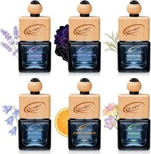 Car Air Freshener Hanging Diffuser 6 Ct