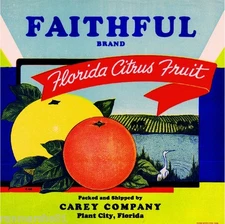 Plant City Florida Faithful Orange Citrus Fruit Crate Label Art Print