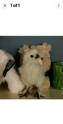 18 Silkie  Hatching Eggs +a Few For Good Luck. 
