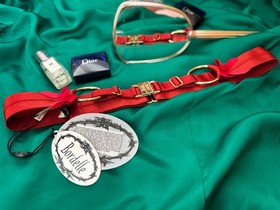 Bordelle Burnt Red Adjustable Belt One Size NWT