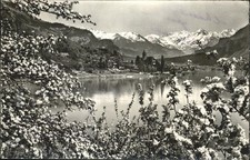 Brienz BE mit Haslibergen