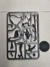 Drukhari Succubus, Dark Eldar, GW 40K