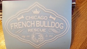 One-Chicago-French-Bulldog-Rescue-Decal-034-say-oui-to-me-034-Free-Shipping