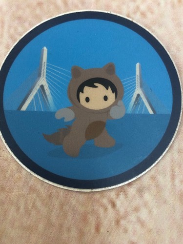 Neu Salesforce Aufkleber Trailhead Trail Blazer Astro Zakim Bridge Boston selten!