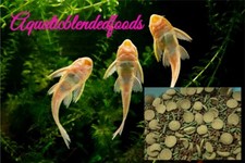 SUPER PLECO VEGGIE MIX 4,Krill,Spirulina Wafer,Veggie,Pleco's,Catfish,ABF16A