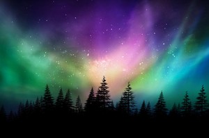 Magic Colorful Night Sky Winter Forest 7x5ft Backdrop Vinyl Photo Background Lb Ebay