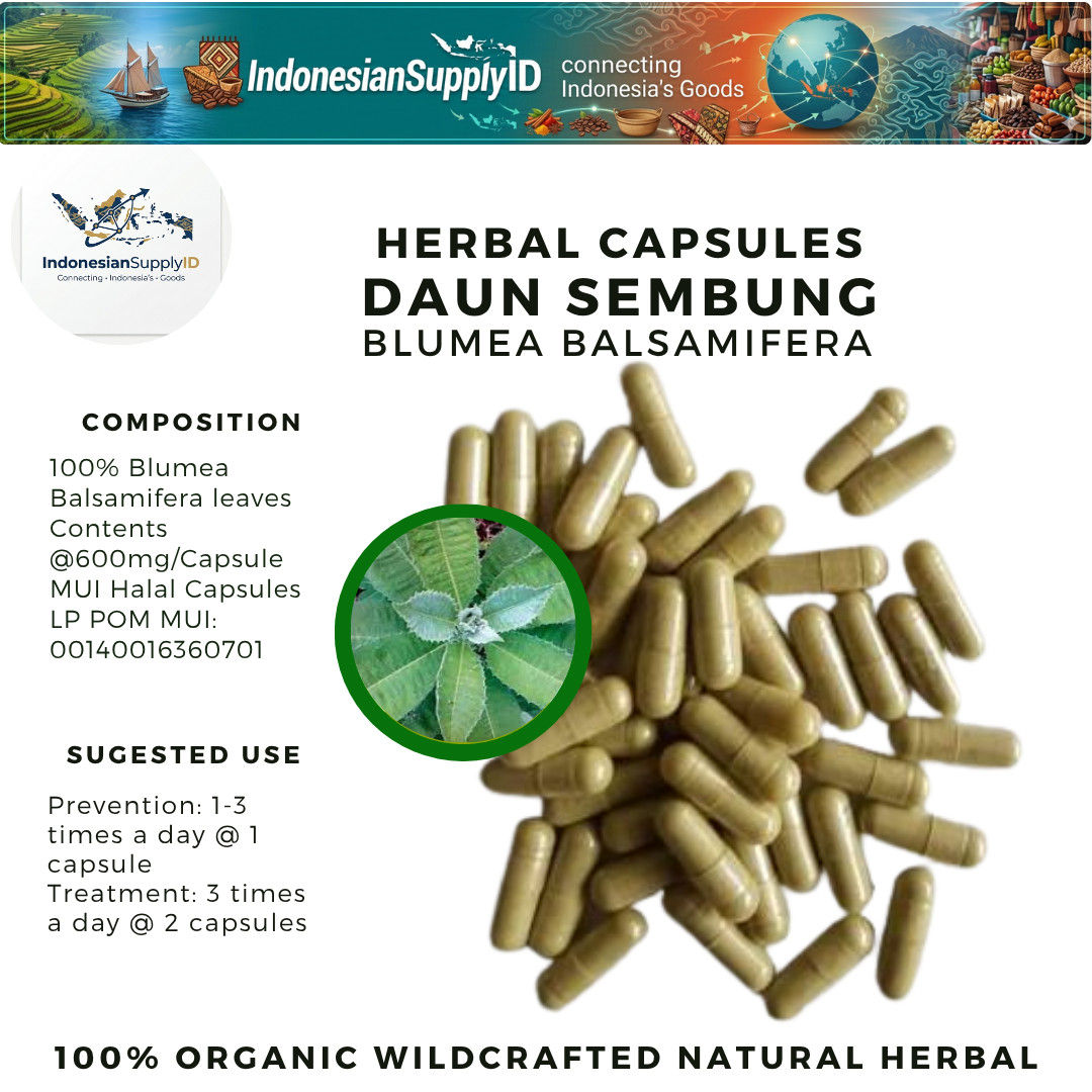[idHerb] 100-500 CAPSULE daun semung BLUMEA BALSAMIFERA Bio WildCrafted