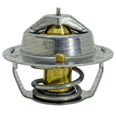 MTE-THOMSON VT439.82 Engine Coolant Thermostat Compatible with 80-19 GMC,