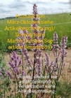 Kahle Katzenminze, Nepeta nuda, Wildform, Catnip, Hummelpflanze, 100 seeds,samen