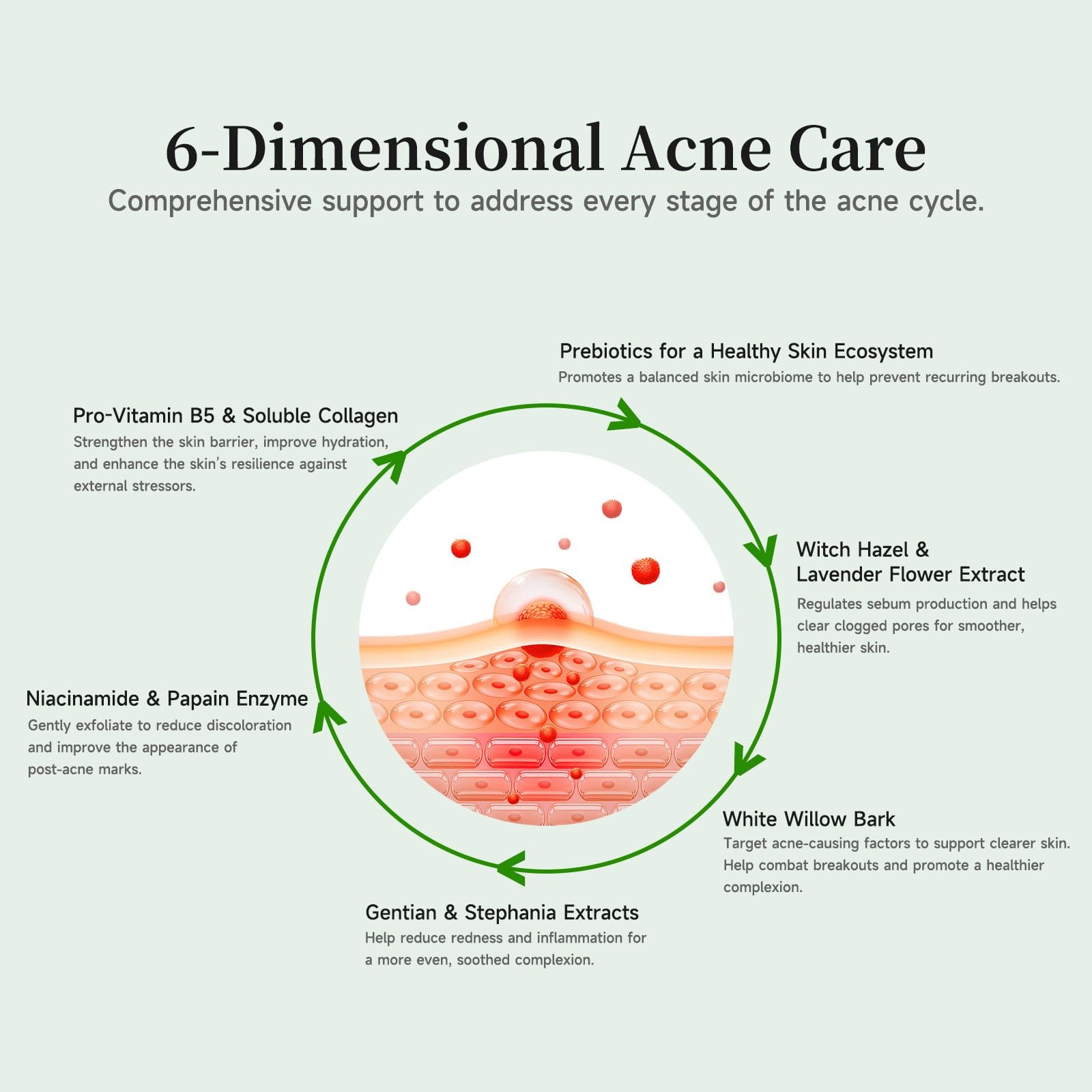 Gentle Botanical Acne Treatment for Face &ndash; Acid-Free Spot Facial Serum with N...