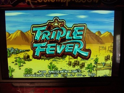 IGS TRIPLE FEVER 3 IN 1 GAME  8 LINER PCB CHERRY MASTER  WORKS