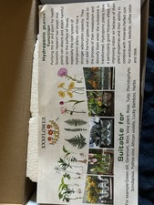 Retro Plant Terrarium Propagation Station - 3 Glass Bulb Vases for Indoor Decor