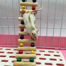 Parrot Bridge Bird Perch Stand Toy Shelf Perch Stand Climbing Rope Ladder Bird