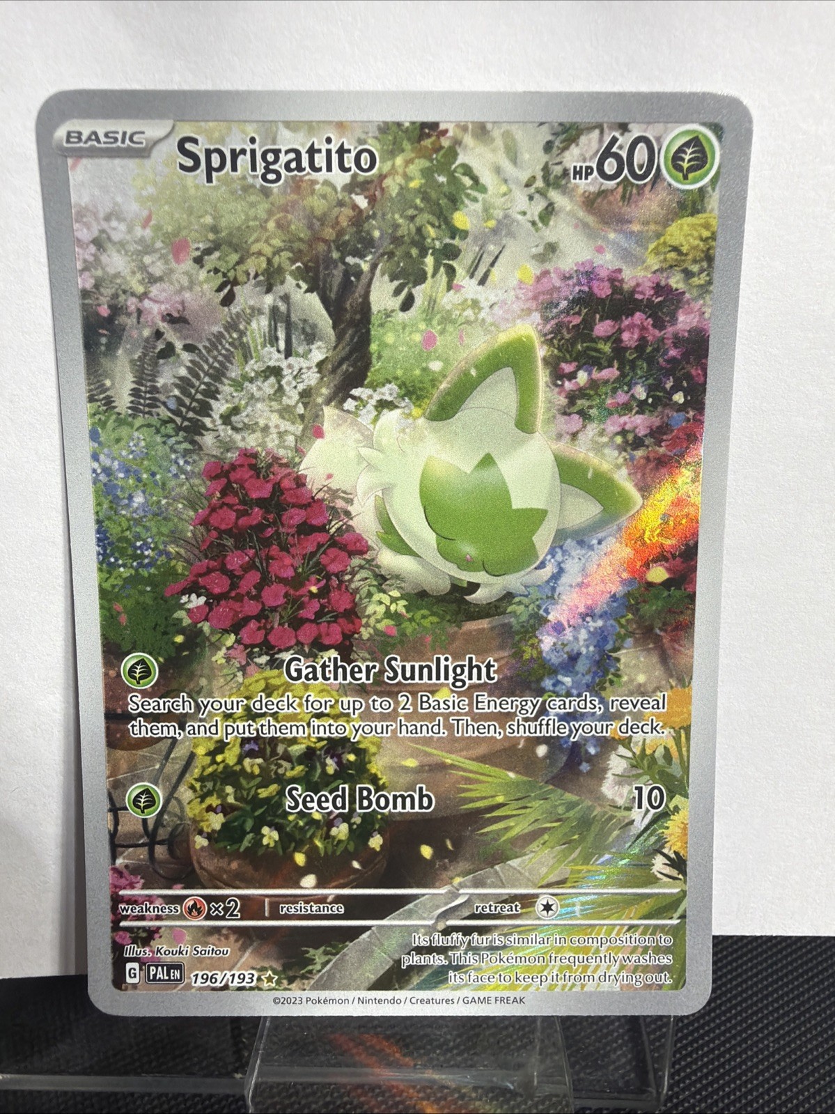 Pokémon TCG Sprigatito Sv02 Paldea Evolved Rare Holo Card #196/193 Illustration
