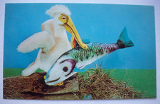Steiff Zoo Favorites Piccy Pelican and fish vintage 60's postcard