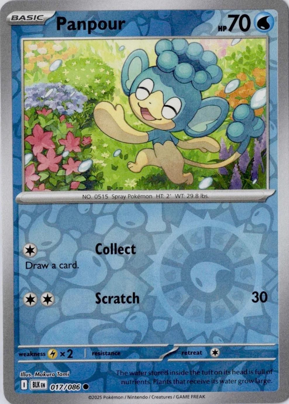 Choose Your Cards Pokemon Black Bolt NM Holo and Reverse