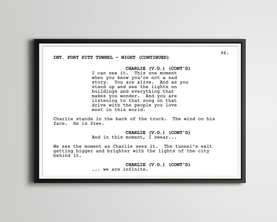 The Perks of Being a Wallflower ''INFINITE'' Screenplay POSTER! (up to 24'' x 36'')