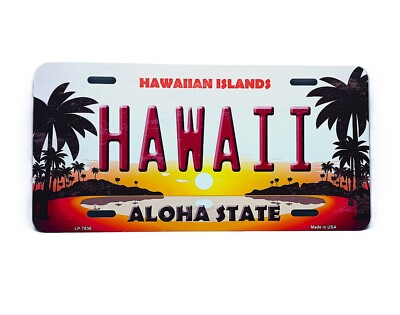 HAWAII ALOHA STATE HAWAIIAN SUN & FUN METAL CAR NOVELTY LICENSE