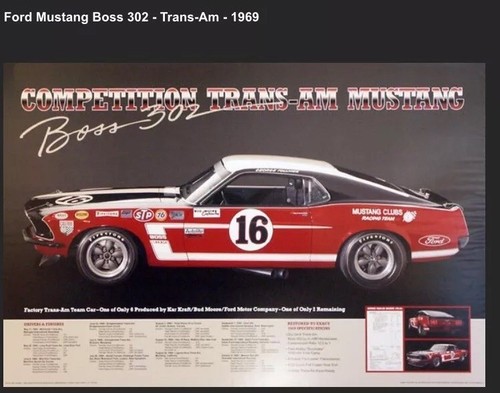 Competition Trans-Am Mustang Boss 302 Race 🏁 History Out/Pnt Car Poster $29.95